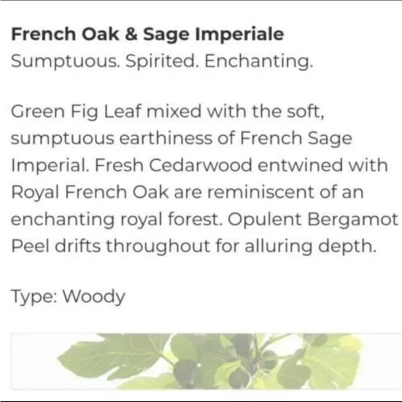 Michel Germain Scented France Soy Candle Set Of 3 New In Sealed Box 3oz/140g ea - Picture 7 of 8